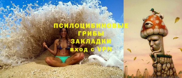 МДПВ Аркадак